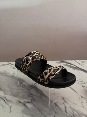Emmet–s leopard