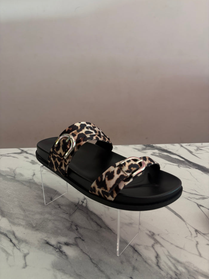 Emmet–s leopard