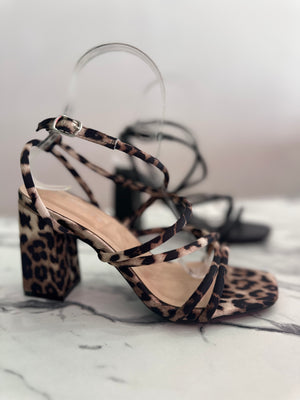 Elissa leopardo