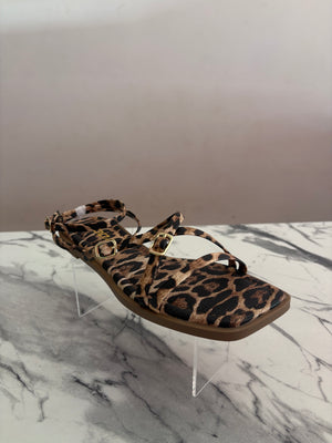 Eyeful–s leopard