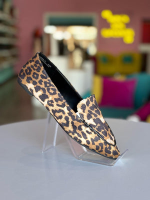 Journal-81 leopardo
