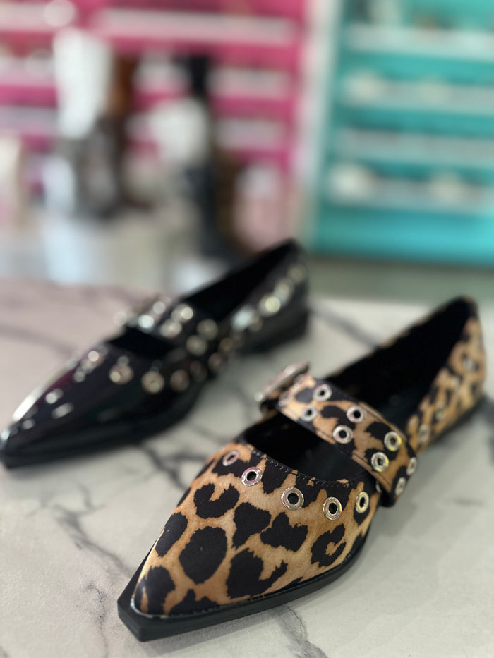 Astra leopardo