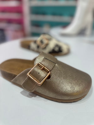 Champion 80 gold