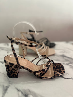 Emmarie leopardo