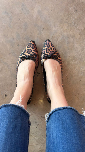 1620 animal print